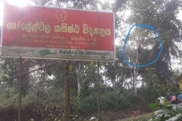 8 வயது மாணவிக்கு நேர்ந்த துயரம் - பாடசாலையில் இருந்து வெளியேற்றம்