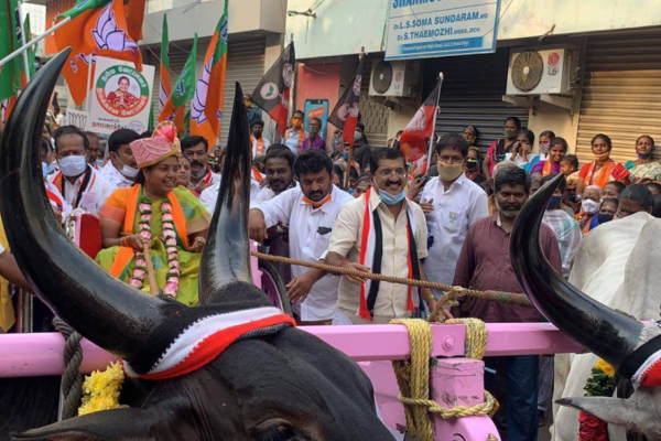மாட்டு வண்டியில் ஊர்வலமாக வந்த வானதி சீனிவாசன் | Vanathi Srinivasan Came Procession Cow Cart