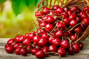 இந்த சிறிய பழத்தில் இவ்வளவு நன்மைகளா?