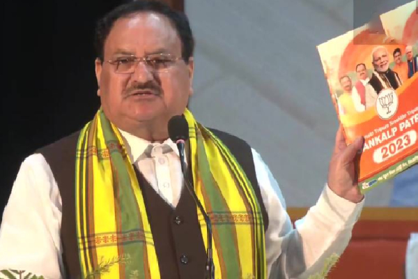 அனைவருக்கும் 5 ரூபாய்க்கு உணவு : பாஜக தேர்தல் அறிக்கையை வெளியிட்ட ஜேபி நட்டா | 5 Rupees Jp Natta Released The Bjp Election