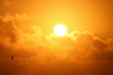 இலங்கையின் சில பகுதிகளில் உச்சம் கொடுக்கவுள்ள சூரியன் - வானிலை அவதான மையம் வெளியிட்டுள்ள தகவல்