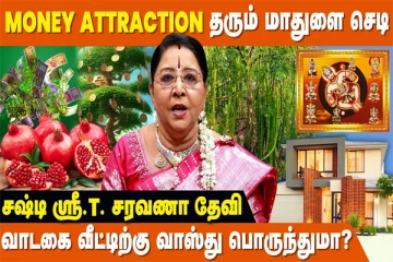 குடும்பத்தில் நிம்மதியை கெடுக்கும் சக்தி கொண்ட செடி...!