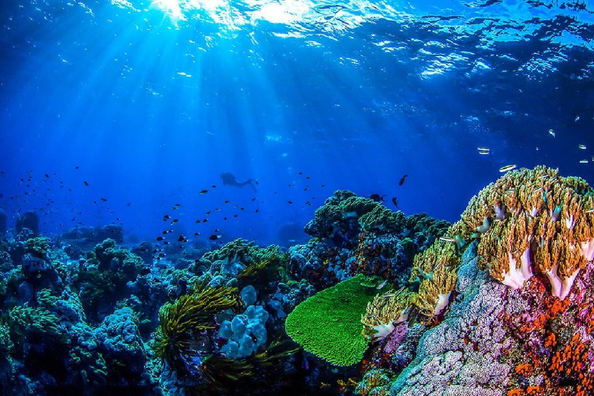 இலங்கையின் கடற்பரப்பில் இயற்கை எரிவாயு: ஆய்வுகளில் தகவல் | Lanka S Seabed May Hold 3 Tcf Gas