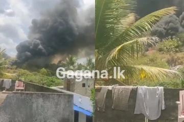 ප්‍රාථමික විද්‍යාලයක් අසල බිහිසුණු ගින්නක් - දුමාරයේ අනතුරුදායක රසායන (PHOTOS)