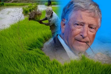 இலங்கைக்கு கைகொடுக்கிறார் பில் கேட்ஸ்; விரைவில் ஏற்படவுள்ள மாற்றம்!