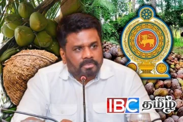 வடக்கு தென்னை விவசாயிகளுக்கு அரசின் மகிழ்ச்சி தகவல்