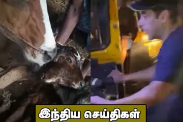 ஆட்டோ ஓட்டும் சினிமா பிரபலம்....இரண்டு தலை, நான்கு கண்களுடன் பிறந்த கன்றுக்குட்டி! இந்திய செய்திகள்