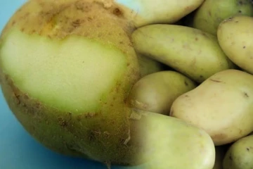 கிழங்கு தொடர்பில் இலங்கை மக்களுக்கு விடுக்கப்பட்ட எச்சரிக்கை