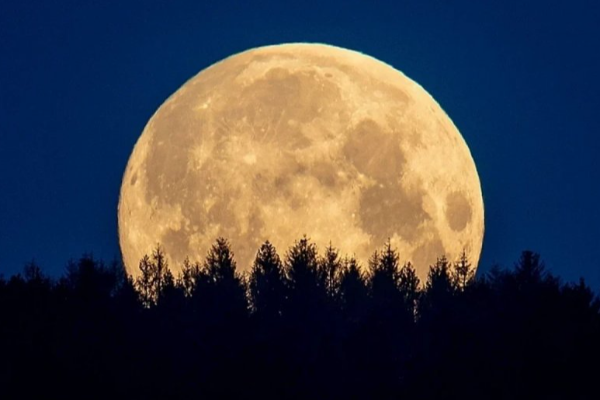 புதுவருடத்தில் வானில் தோன்றவுள்ள கண்கவர் நிகழ்வு..எப்போது - எங்கே..! | Rare Phenomenon Appears In The Sky New Year S Eve