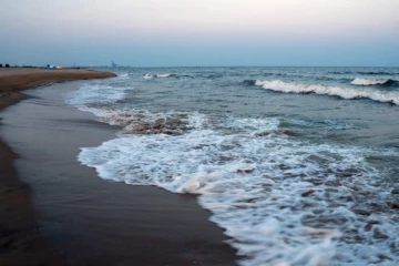 இலங்கை பெண் உட்பட கரை ஒதுங்கிய 4 சடலங்கள்.., சென்னை கடற்கரையில் பரபரப்பு