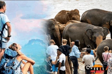 සංචාරකයෝ ලක්ෂ 09ක් ඇවිත්