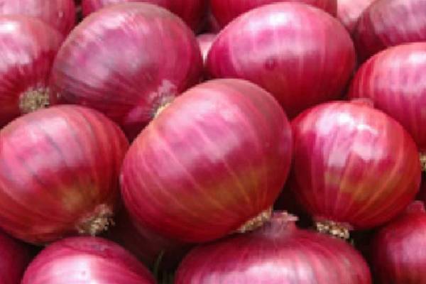 வெங்காய விளைச்சலுக்கு ரூ.66,000 செலவிட்ட விவசாயி.., ஆனால் கிடைத்ததோ வெறும் ரூ.664 மட்டுமே | Farmer Spent Rs 66000 On Onion Crop Got Rs 664