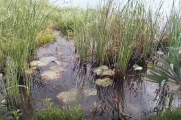 பருவ மழை இன்மையால் விவசாயம் பாதிப்பு