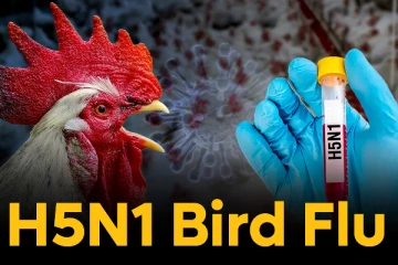 இலங்கையில் பறவைக்காய்ச்சல் தொற்றுடன் ஒருவர் அடையாளம்