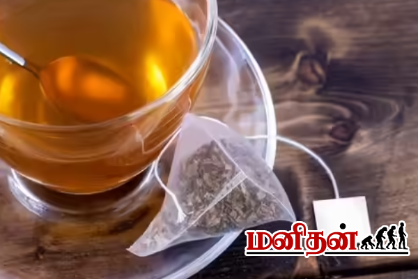 இந்த பேக் போடுங்க.. பொடுகு தொல்லை தீரும்! | Hair Care Tips Dandruff Hair Masks