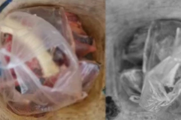 யாழில் ஆமை இறைச்சியுடன் சிக்கிய நபர்! (படங்கள்)