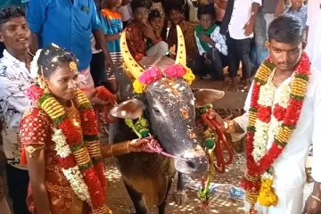 மணக்கோலத்தில் அண்ணன்- அண்ணி! தம்பி கொடுத்த நெகிழ்ச்சியான பரிசு என்ற தெரியுமா?