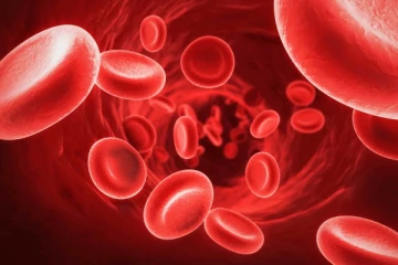 காயம் ஏற்பட்டால் ரத்தம் வந்தவண்ணமே உள்ளதா? அப்போ உங்களுக்கு இந்த நோய் இருக்கலாம்...