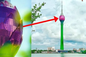 නෙළුම් කුළුණෙන් පහළට පනින්න මෙන්න සුපිරි අවස්ථාවක්..