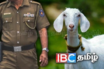 மட்டக்களப்பில் ஆட்டுடன் தப்பியோடிய திருடன்: வெளியாகியுள்ள பின்னணி