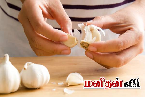 பூண்டை பச்சையாக மென்று சாப்பிட்டால் என்ன நடக்கும்? 30 நாட்கள் முயற்சி! | Garlic At Morning Time For 30 Days Benefits பூண்டை பச்சையாக மென்று சாப்பிட்டால் என்ன நடக்கும்? 30 நாட்கள் முயற்சி! | Garlic At Morning Time For 30 Days Benefits