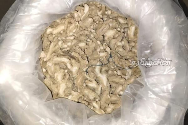 இலங்கைக்கு கடத்த இருந்த பாரியளவு காய்ந்த இஞ்சி பறிமுதல் | Illeagal Ginger Smuggling To Sri Lanka
