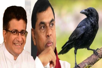 காக்கை தினத்திற்கு ட்விட்டரில் வாழ்த்துக்கூறிய  கம்மன்பில!