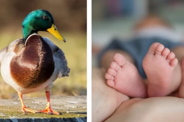 பிரான்சில் குழந்தைக்கு வித்தியாசமான பெயர் வைத்த பெற்றோர் சந்தித்த எதிர்ப்பு: உண்மை வெளியானதும் நிகழ்ந்த மாற்றம்