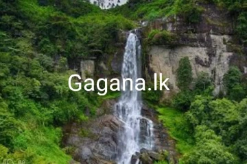 17ත් හැවිරිදි තරුණ යුවලක් මහ රෑ දිය ඇල්ලකින් පහලට පනී..අනතුරුව සිදු වූ දේ මෙන්න..