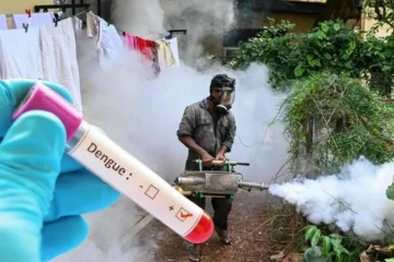 டெங்கு நோயாளிகளின் எண்ணிக்கை அதிகரிப்பு : 76 அதிக அபாய பிரிவுகள் அடையாளம்
