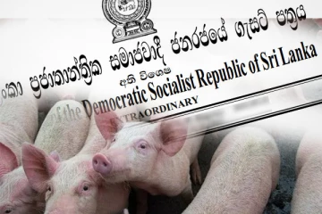 ஆபிரிக்க பன்றிக் காய்ச்சல் ஆபத்து; அதிவிசேட வர்த்தமானி வெளியீடு