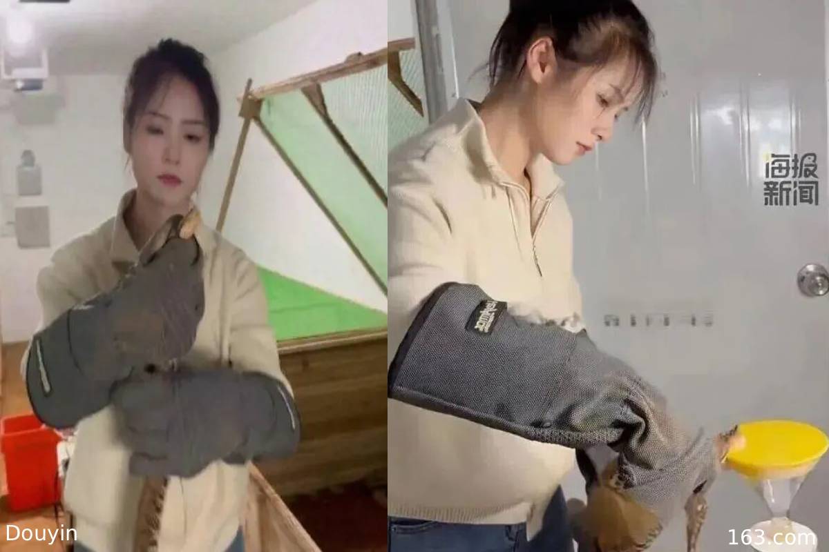 விஷ பாம்புகளை வளர்த்து கோடிகளில் வருமானம் ஈட்டும் இளம் பெண் | China Women Earns Crore By Raising Venomous Snakes