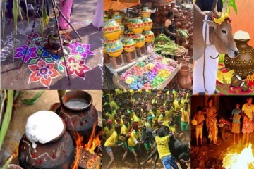 ஜல்லிக்கட்டில் கலக்கும் காளைகள் சாபம் பெற்றதா? பலருக்கும் தெரியாத பொங்கல் புராண கதை