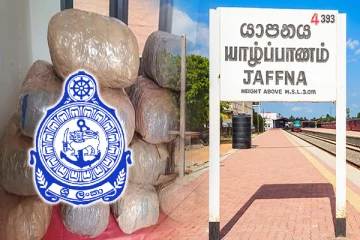 யாழில்14 மில்லியன் ரூபாய் பெறுமதியான கேரள கஞ்சா மீட்பு