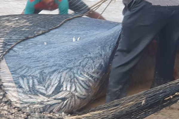 அம்பாறை மீனவர்களுக்கு அடித்த அதிர்ஷ்டம்! | Most Fish Caught In Ampara Kalmunai Climate Change