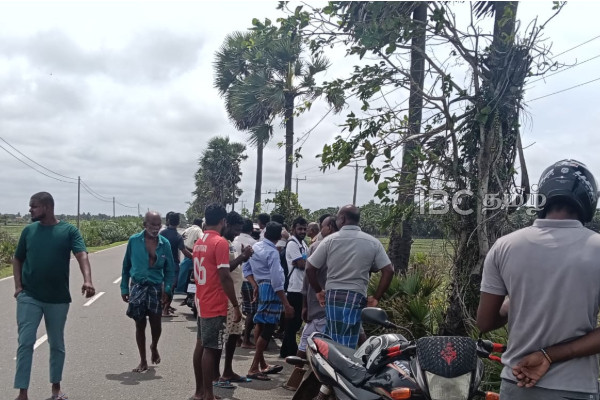 மன்னாரில் மாடு திருடியவர்களை மடக்கிப்பிடித்த இளைஞர்கள் | Three Arrested For Stealing Cows In Mannar மன்னாரில் மாடு திருடியவர்களை மடக்கிப்பிடித்த இளைஞர்கள் | Three Arrested For Stealing Cows In Mannar