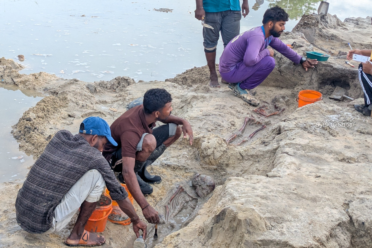செம்மணியில் புதிதாக சிறுவன் ஒருவனின் என்புக்கூடு அடையாளம் | Skeleton Of A New Boy Identified In Semmani செம்மணியில் புதிதாக சிறுவன் ஒருவனின் என்புக்கூடு அடையாளம் | Skeleton Of A New Boy Identified In Semmani