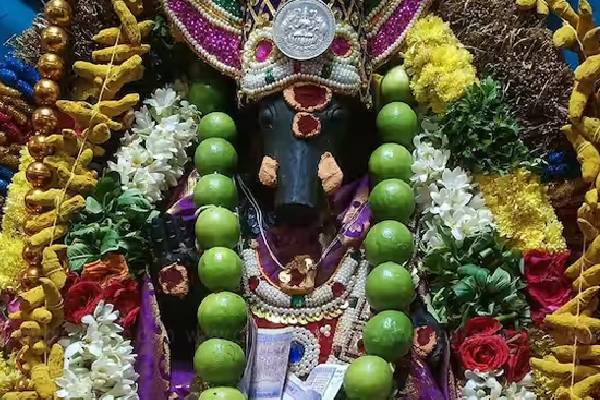 ஆடி ஞாயிற்றுகிழமையில் வாராஹியை இப்படி வழிபட வேண்டுமாம்? | Should Varahi Worshiped Like This On Aadi Sunday
