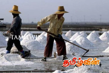 கிலோ கணக்கில் உப்பு கொள்வனவை அனுமதிக்க முடியாது : அமைச்சர் சுனில் அறிவிப்பு