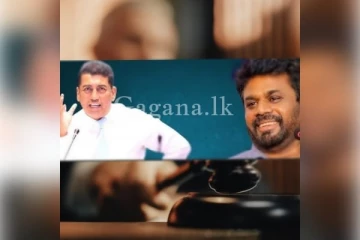 ජොන්ස්ටන් කරපු අපහාස වලට ජනපති දැම්ම නඩුවට මොකද වුනේ ..