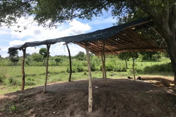 மட்டக்களப்பு மயிலத்தமடு மேய்ச்சல் தரையின் இன்றைய நிலை(Photos)