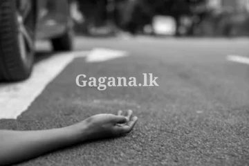 පියාට සහ දියණියට මරු කැඳ වූ බිහිසුණු රිය අනතුර.