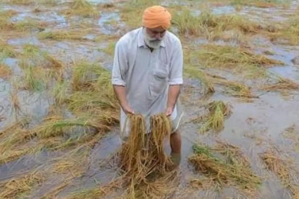 அரசியல் தலையீடு காரணமாக நட்டஈடு ரத்து ; பாதிக்கப்பட்ட விவசாயிகள் சோகத்தில் | Compensation Cancelled Affected Farmers In Grief