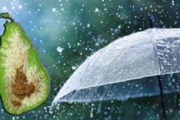 நாட்டின் பல பகுதிகளில் கன மழைக்கான வாய்ப்பு