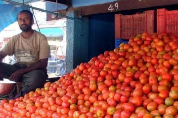 குறையும் தக்காளி வரத்து : எகிறும் விலை , அதிர்ச்சியில் பொதுமக்கள்