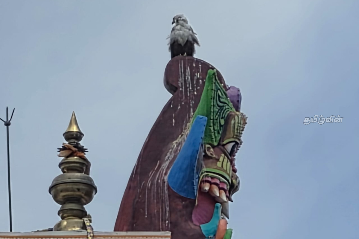 நாட்டின் பல பகுதிகளிலும் ஆடி அமாவாசை தினத்தை முன்னிட்டு விசேட நிகழ்வுகள் | Aadi Amavasya Theerthotsavam At Mamangeswarar