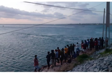 யாழ் - நெடுந்தீவு கடற்கரையில்  கரையொதுங்கிய  பெருமளவு மீன்கள்!