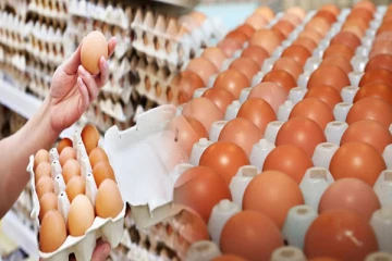 முட்டை விலை தொடர்பில் வெளியான புதிய அறிவிப்பு