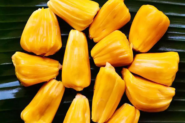 Jack Fruit Benefits: புற்றுநோயை தடுக்கும் பலாப்பழம்.. யாரெல்லாம் சாப்பிடக்கூடாது? | Jack Fruit Benefits In Tamil