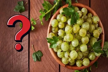 ஒரு நாளைக்கு ஒரு நெல்லிக்காய் சாப்பிட்டால் உடலுக்கு என்ன பலன்?